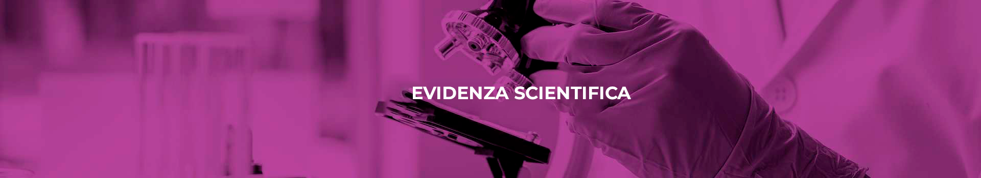 bannerevidenza